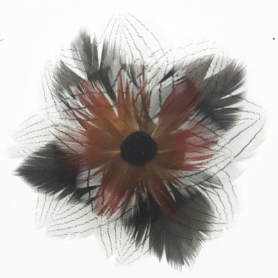 Feather Rosset Hair Barrettes