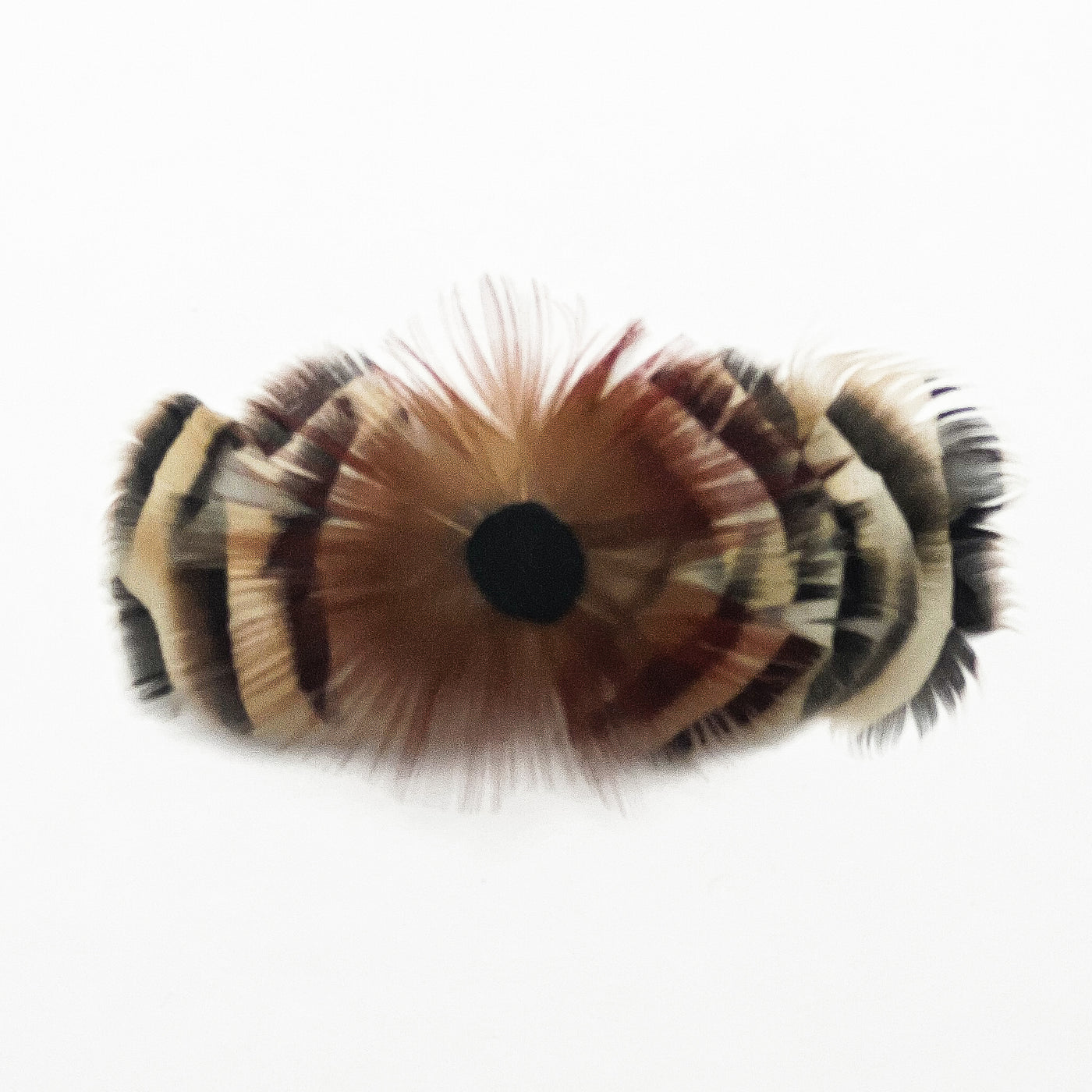 Feather Hair Barrettes