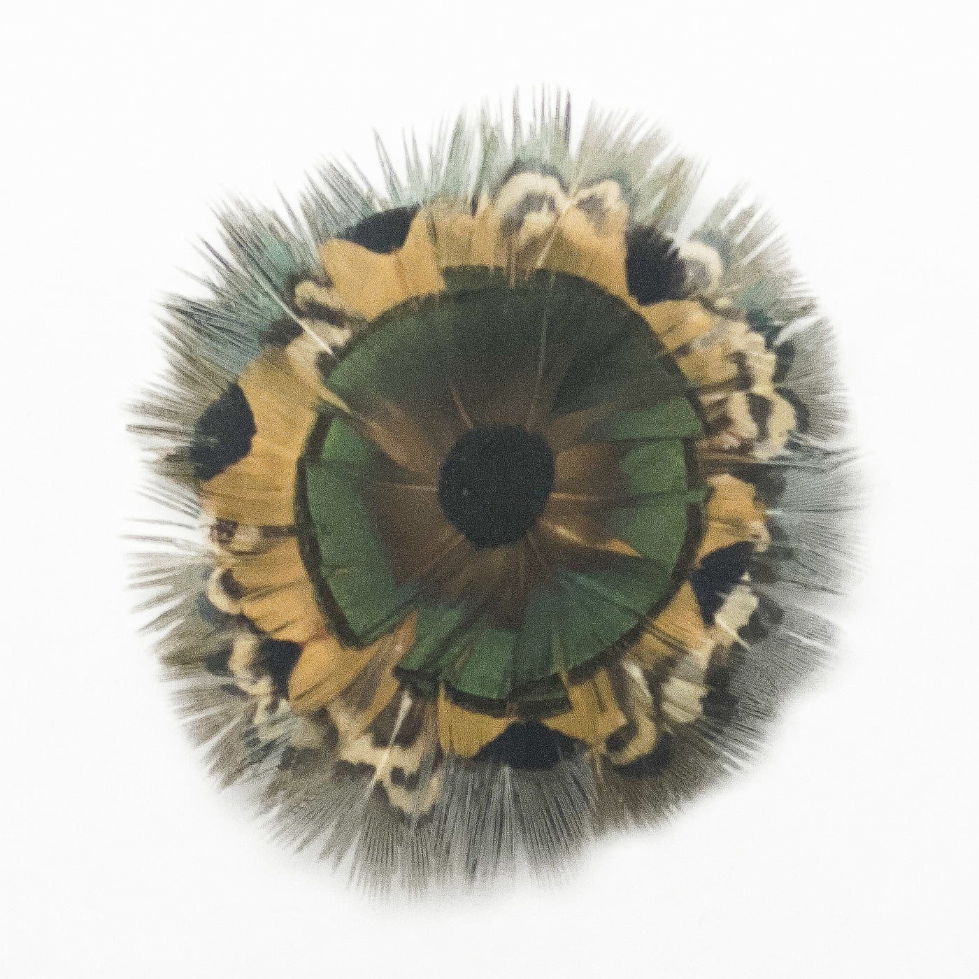 Feather Rosette Hair Barrettes