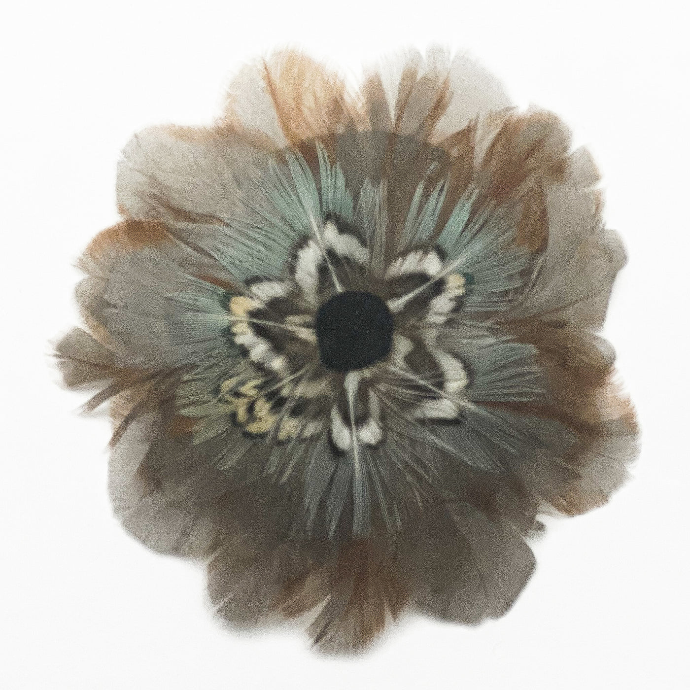 Feather Rosette Hair Barrettes