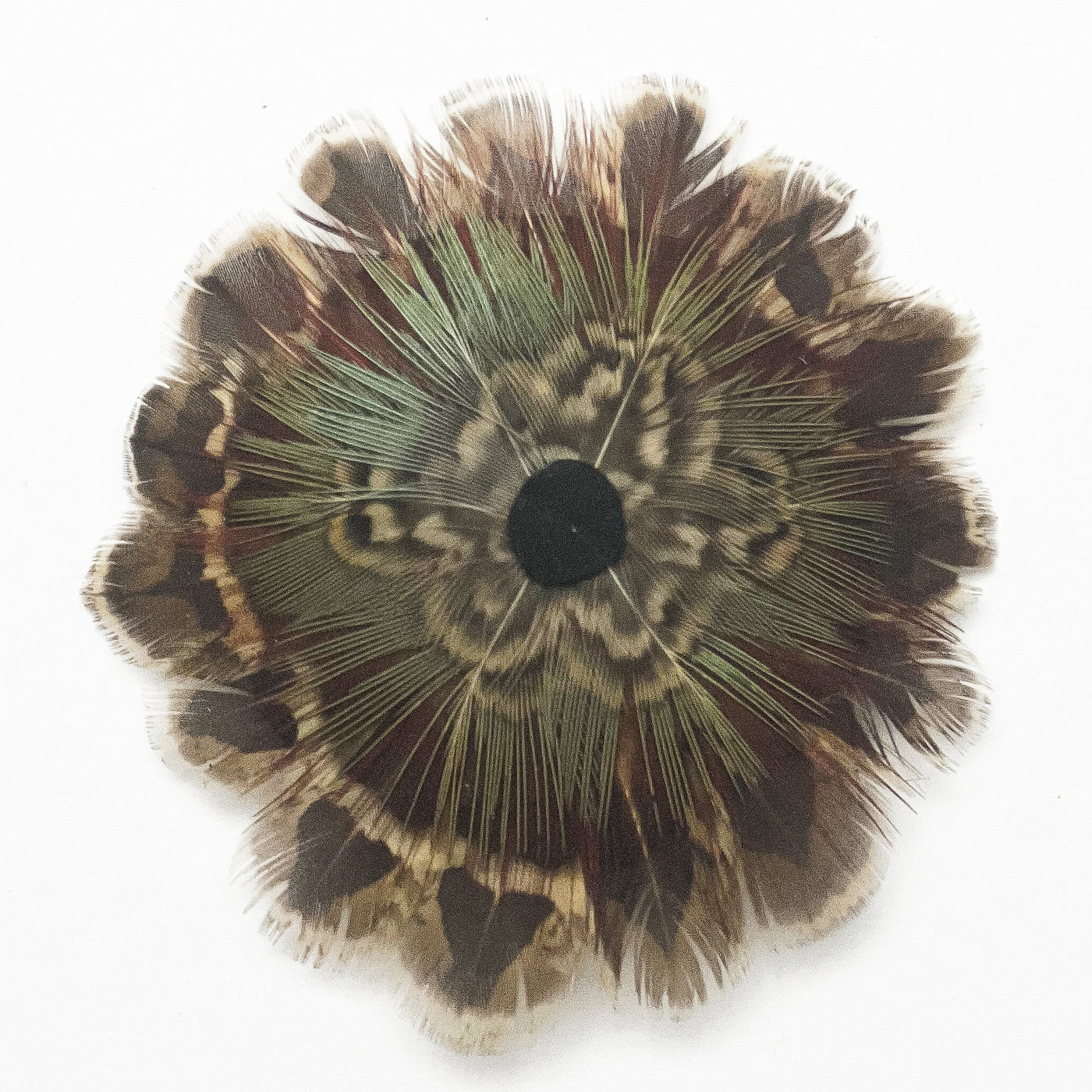 Feather Rosette Hair Barrettes