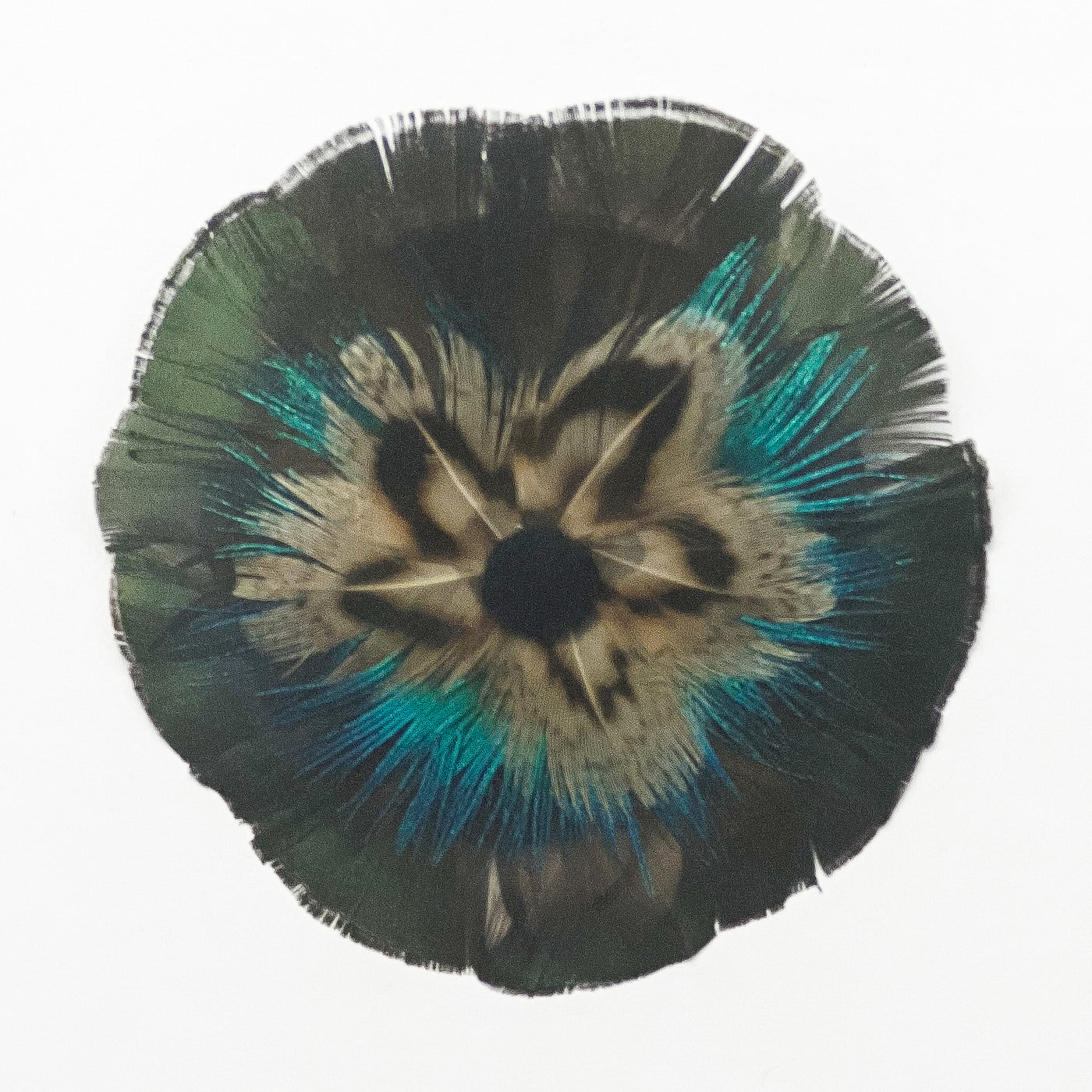 Feather Rosette Hair Barrettes