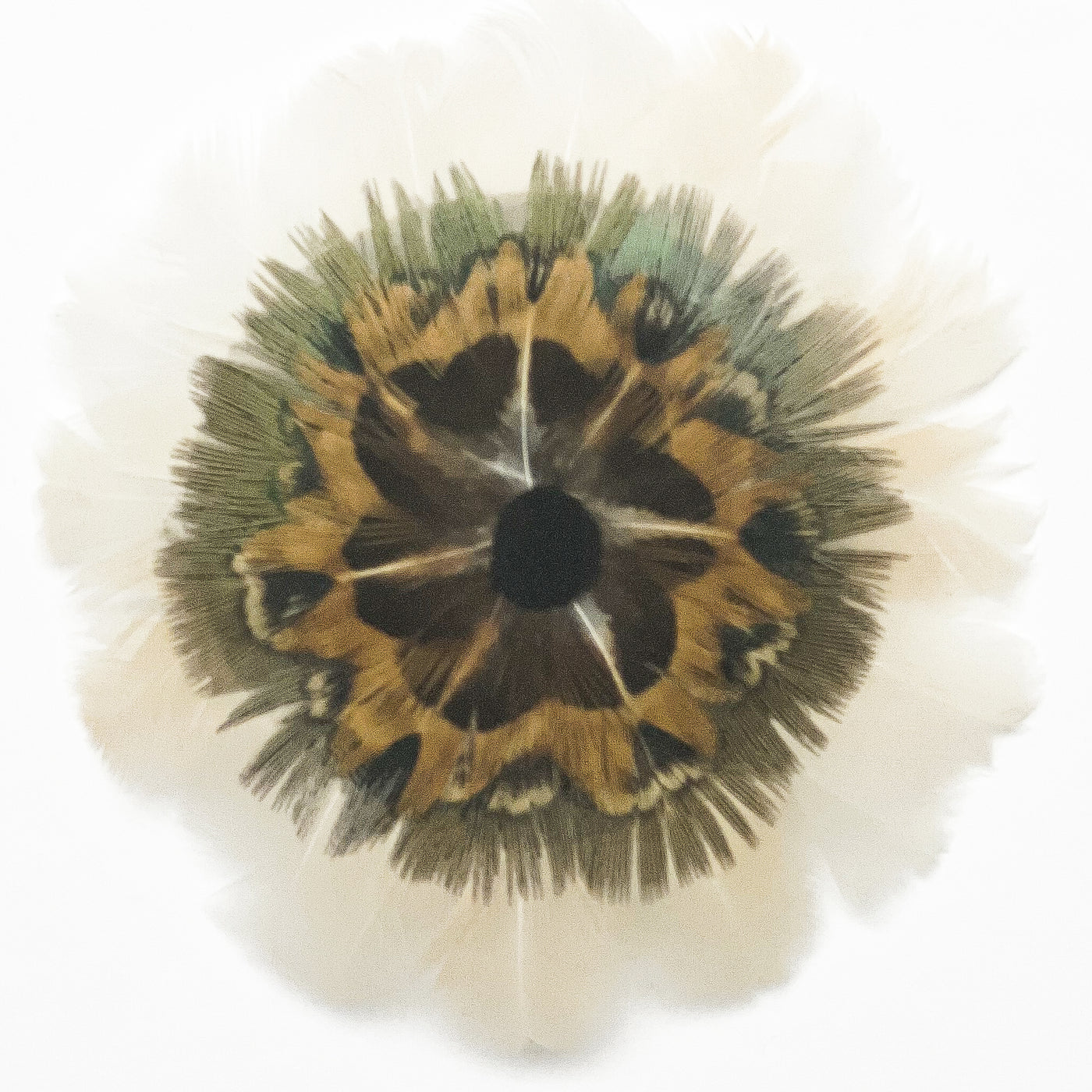 Feather Rosette Hair Barrettes